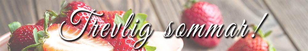 trevlig-sommar-stor-banner